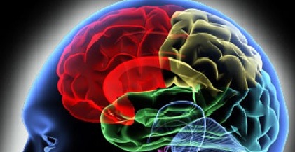 Βρέθηκε το «αποτύπωμα» της μπλόφας στον εγκέφαλο