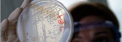 E.coli : το μυστήριο λύθηκε