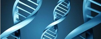 Τα γονίδια "πηδάνε"- ανακάλυψη έλληνα επιστήμονα