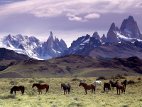 Παταγονία - Patagonia